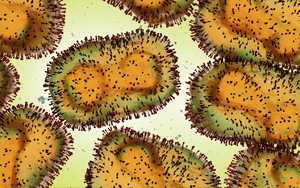 猴痘病毒檢測原料（涵蓋診斷酶、抗原、抗體），西寶生物助力猴痘檢測