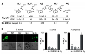 抗生素濫用問題如何解決？Science 新研究揭示抗生素輔助抑制劑的新進(jìn)展