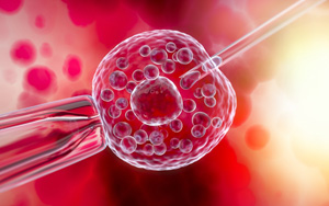 全能干細胞又添新證據(jù)!Nature子刊：科學家成功修復豬受損心臟