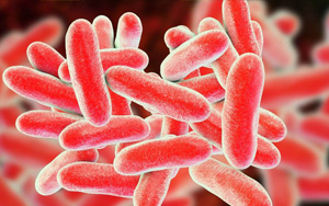 已確診19例！繼新冠和猴痘之后，美國軍團病疫情來勢洶洶