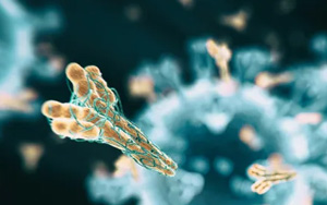 震驚！多數(shù)國人體內無有效抗體，國產(chǎn)新冠mRNA疫苗或安全有效！