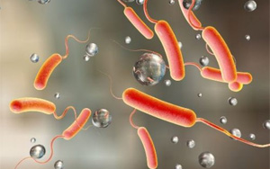 快速了解這種甲級傳染病及其預(yù)防措施