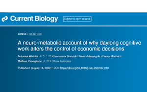 不知道大腦疲勞的真正原因，千萬別輕易決策