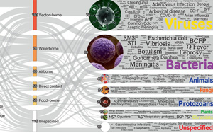 極端高溫只是開始，更致命的警告在后面：58%人類病原體獲得強化