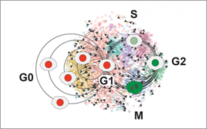 癌細(xì)胞殺不完？不如試試將腫瘤“永久休眠”！