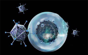 “抗癌利器”療效再提升！賓大研究團隊開發(fā)的免疫療法CAR-T再獲突破