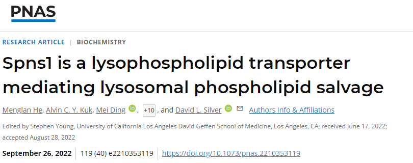 科學(xué)家發(fā)現(xiàn)溶酶體中的蛋白質(zhì)參與循環(huán)細胞膜中重要的脂質(zhì)成分以保持細胞健康