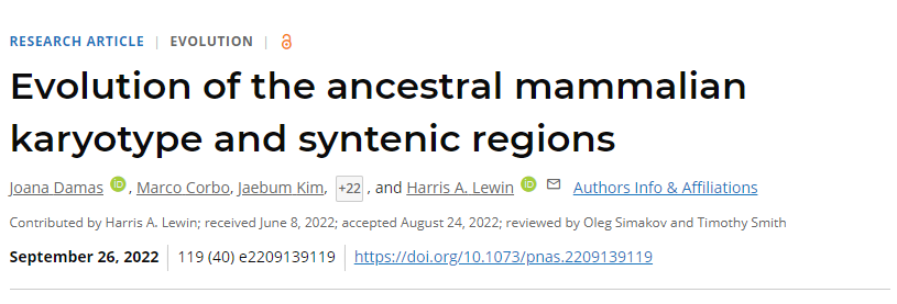 國際研究團(tuán)隊通過計算重建了哺乳動物共同祖先的基因組組織