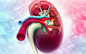 新冠將導致未來出現(xiàn)毀滅性的全民腎衰竭？真相究竟如何