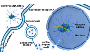 將諾貝爾獎技術與治療技術結合，克服CRISPR一個關鍵限制