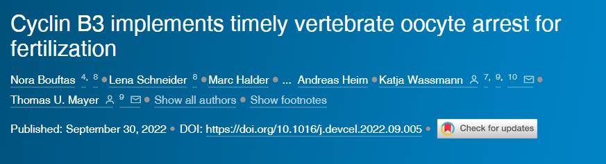 兩種蛋白質(zhì)“Cyclin B3”和“Emi2”的相互作用以及它們對(duì)該過程時(shí)間表的影響