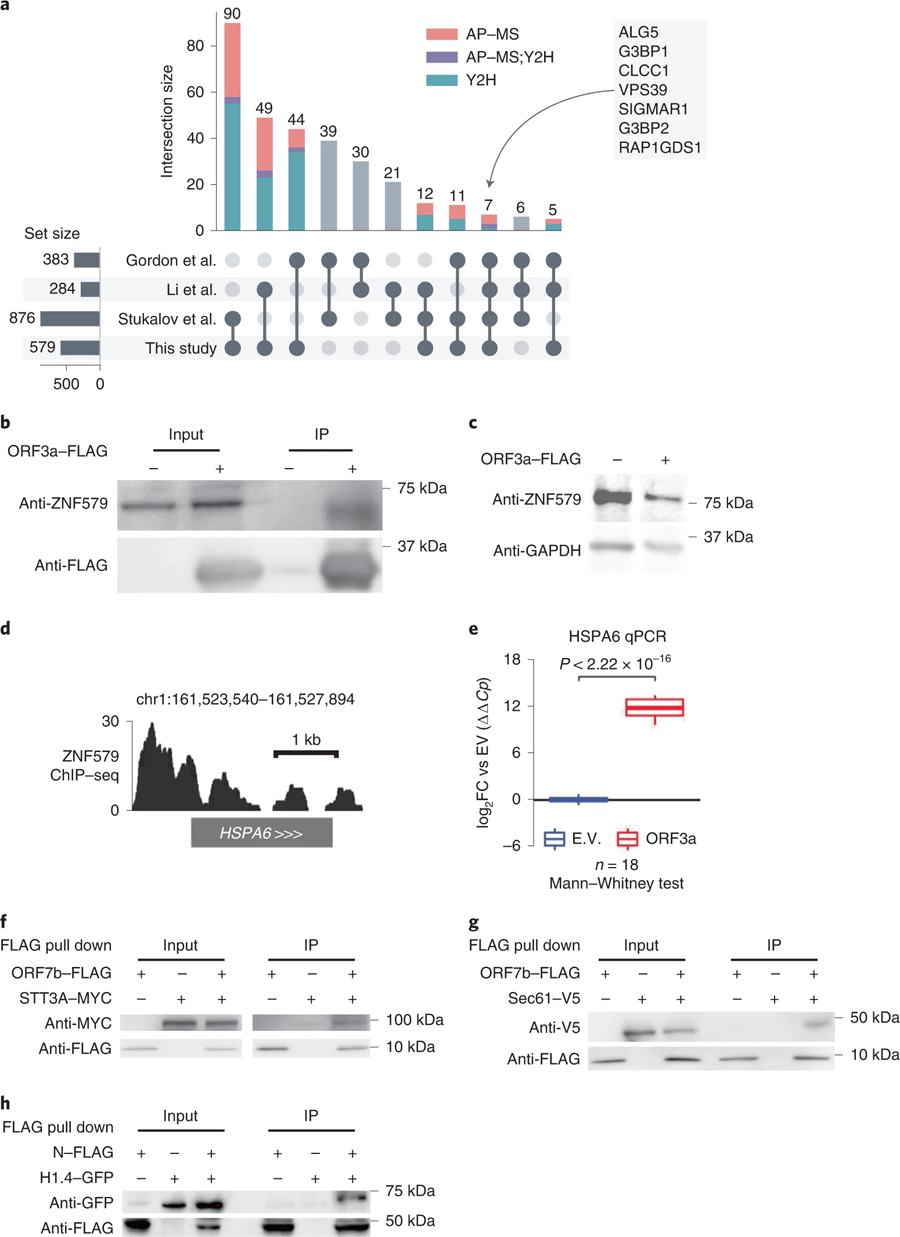 N相互作用組的特征和新冠病毒-人類蛋白質交互作用的驗證