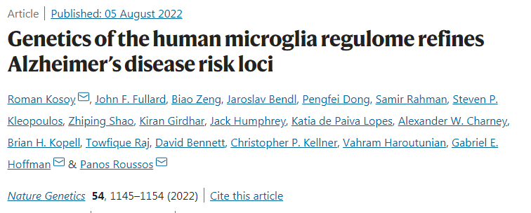 人類小膠質(zhì)細胞如何促進阿爾茨海默病(AD)的發(fā)生和發(fā)展的