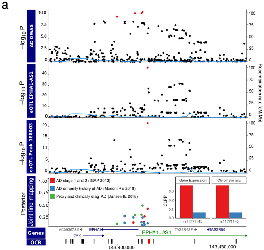 EPHA1-AS1基因調(diào)控小膠質(zhì)細胞的轉(zhuǎn)錄和染色質(zhì)可接觸性的AD病原學積分圖