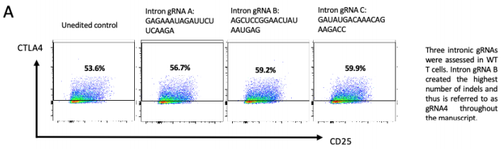  FACs圖示三種不同gRNA靶向基因內(nèi)區(qū)經(jīng)核轉(zhuǎn)染后代表性的正常CTLA-4表面表達(dá)