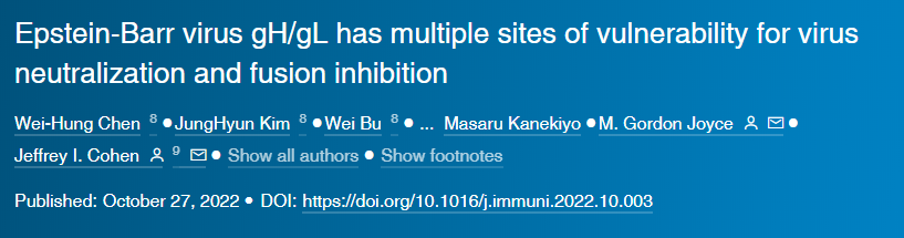 研究人員針對(duì)EB病毒的不同位點(diǎn)開(kāi)發(fā)出一組研究性的單克隆抗體 研究人員針對(duì)EB病毒的不同位點(diǎn)開(kāi)發(fā)出一組研究性的單克隆抗體
