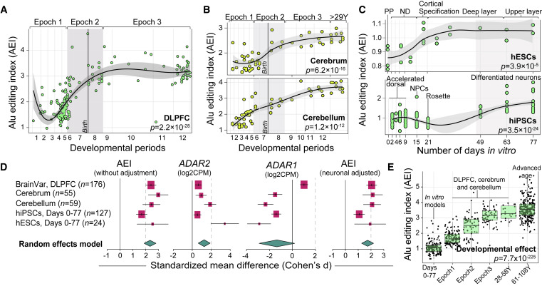 人類大腦發(fā)育和神經(jīng)元成熟過(guò)程中的Alu編輯指數(shù)