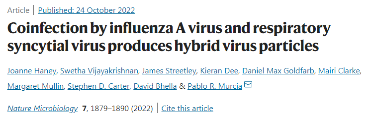 研究發(fā)現(xiàn)兩種常見呼吸道病毒IAV和RSV相互融合形成了一種圈子內(nèi)的混合病毒