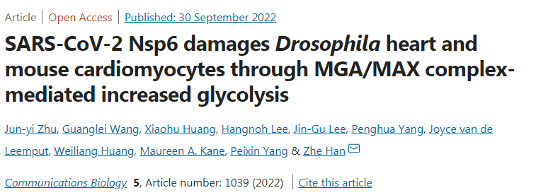 研究人員確定了SARS-CoV-2病毒中的特定蛋白質如何損害心臟組織