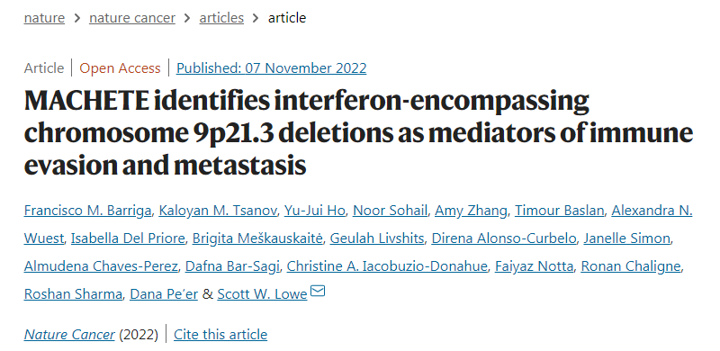 使用MACHETE，研究人員發(fā)現(xiàn)一個明顯的缺失通常會消除一組干擾素基因，導致胰腺癌和黑色素瘤小鼠模型的預后較差