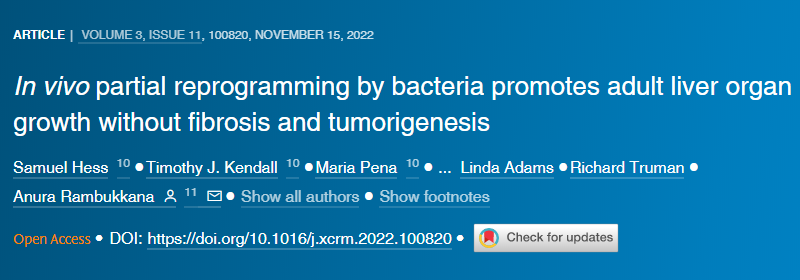 一種可能進(jìn)化為幫助對抗感染的免疫反應(yīng)似乎是驅(qū)使人類免疫缺陷病毒(HIV)進(jìn)入潛伏狀態(tài)的機制
