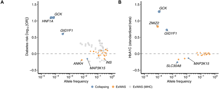 英國生物樣本庫（UKB）中歐洲血統(tǒng)糖尿病患者與相關特征的遺傳關聯(lián)