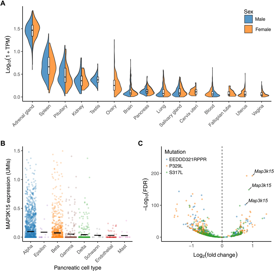 MAP3K15的組織表達譜