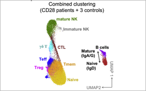 這類(lèi)人群感染HPV后可能成為“樹(shù)人”！Cell揭示CD28缺乏與HPV易感性之間的關(guān)系