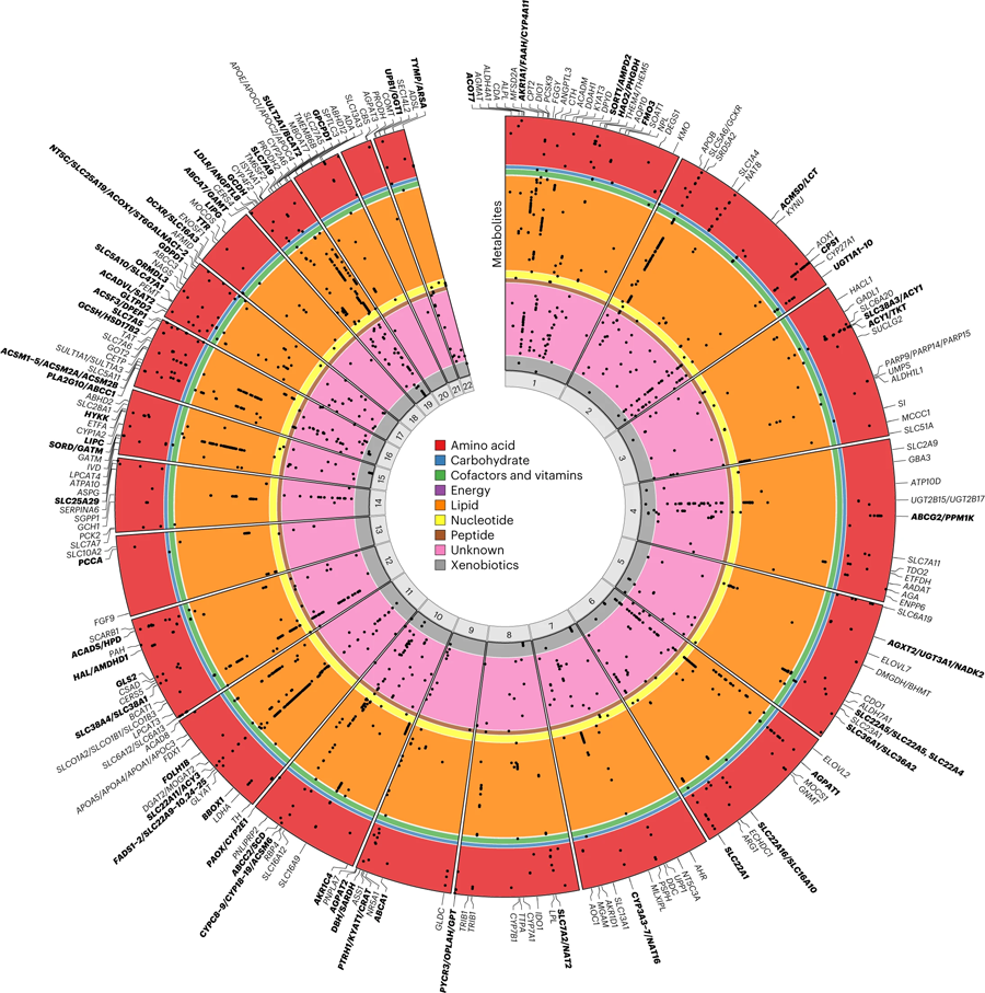圓形圖演繹了與代謝物的區(qū)域關聯的基因組位置