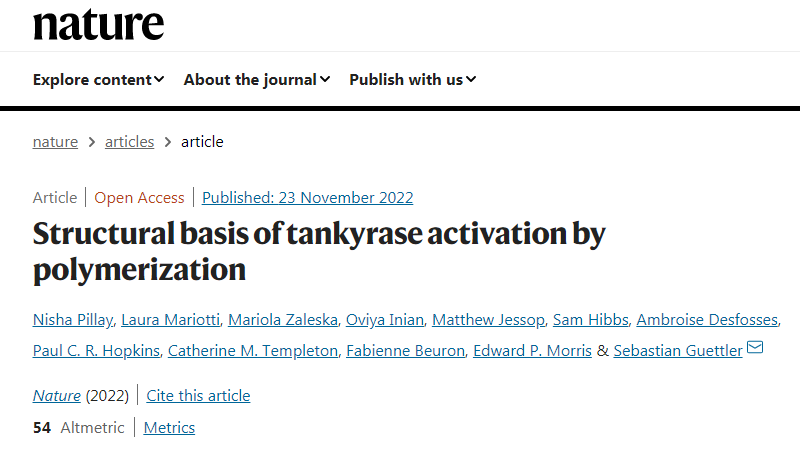 科學(xué)家們已經(jīng)揭示了一種涉及廣泛細(xì)胞過(guò)程的關(guān)鍵蛋白質(zhì)的內(nèi)部工作原理 科學(xué)家們已經(jīng)揭示了一種涉及廣泛細(xì)胞過(guò)程的關(guān)鍵蛋白質(zhì)的內(nèi)部工作原理
