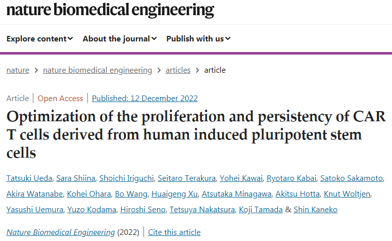 人誘導(dǎo)多能干細(xì)胞CAR T細(xì)胞增殖和持久性的優(yōu)化 人誘導(dǎo)多能干細(xì)胞CAR T細(xì)胞增殖和持久性的優(yōu)化