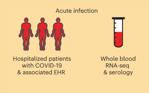 Nature Medicine：COVID-19幸存者一年后血液基因表達(dá)變化