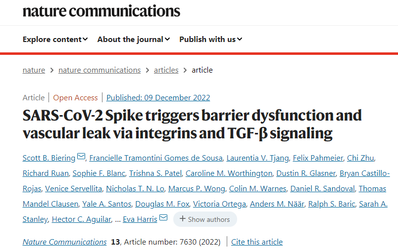 SARS-CoV-2病毒產(chǎn)生的病毒毒素可能會導(dǎo)致嚴(yán)重的COVID-19感染