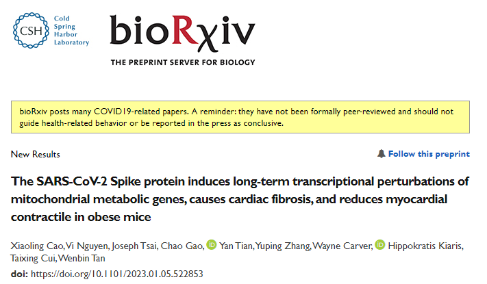 研究團隊發(fā)現(xiàn)新冠病毒的S蛋白可誘導(dǎo)線粒體代謝基因的長期轉(zhuǎn)錄抑制并導(dǎo)致心臟纖維化和心肌收縮損傷 研究團隊發(fā)現(xiàn)新冠病毒的S蛋白可誘導(dǎo)線粒體代謝基因的長期轉(zhuǎn)錄抑制并導(dǎo)致心臟纖維化和心肌收縮損傷