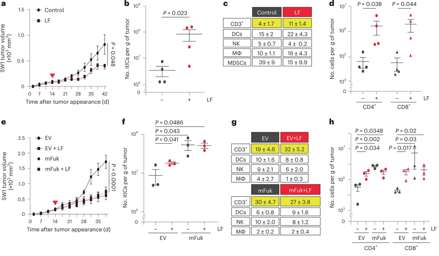 提升黑色素瘤的巖藻糖基化程度抑制了腫瘤生長(zhǎng)并增加itIC豐度 提升黑色素瘤的巖藻糖基化程度抑制了腫瘤生長(zhǎng)并增加itIC豐度