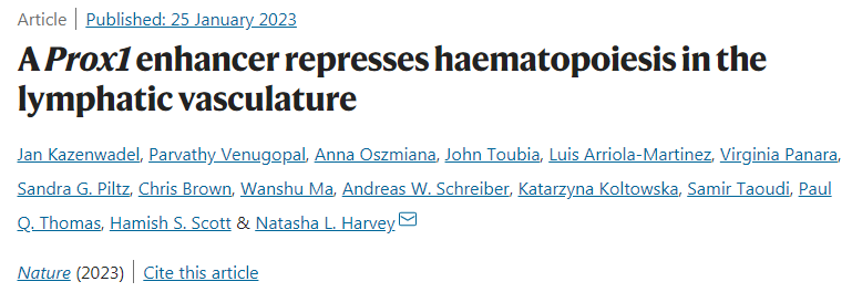 科學家發(fā)現(xiàn)淋巴管可以產(chǎn)生紅細胞和白細胞 科學家發(fā)現(xiàn)淋巴管可以產(chǎn)生紅細胞和白細胞