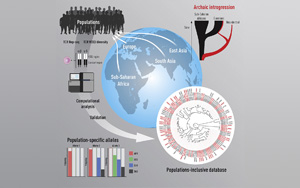 為什么我們對(duì)新冠等疾病的反應(yīng)不同？Immunity發(fā)現(xiàn)人與人之間T細(xì)胞受體基因存在很大差異