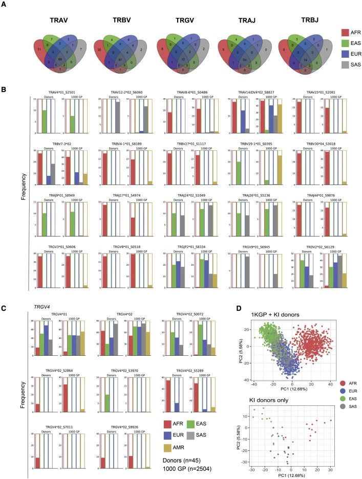 TCR等位基因的群體差異 TCR等位基因的群體差異