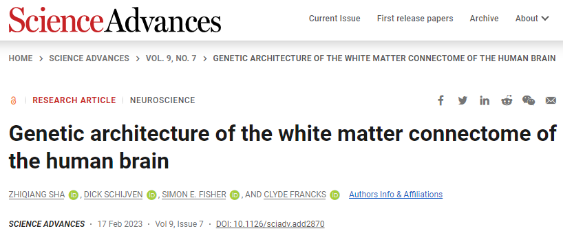 人類大腦白質(zhì)的結(jié)構(gòu)差異可能與導(dǎo)致某些行為特征和大腦疾病的遺傳變異有關(guān) 人類大腦白質(zhì)的結(jié)構(gòu)差異可能與導(dǎo)致某些行為特征和大腦疾病的遺傳變異有關(guān)