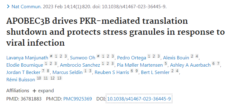 新研究揭示了一種名為APOBEC3B的蛋白質(zhì)如何保護(hù)細(xì)胞免受RNA病毒感染 新研究揭示了一種名為APOBEC3B的蛋白質(zhì)如何保護(hù)細(xì)胞免受RNA病毒感染