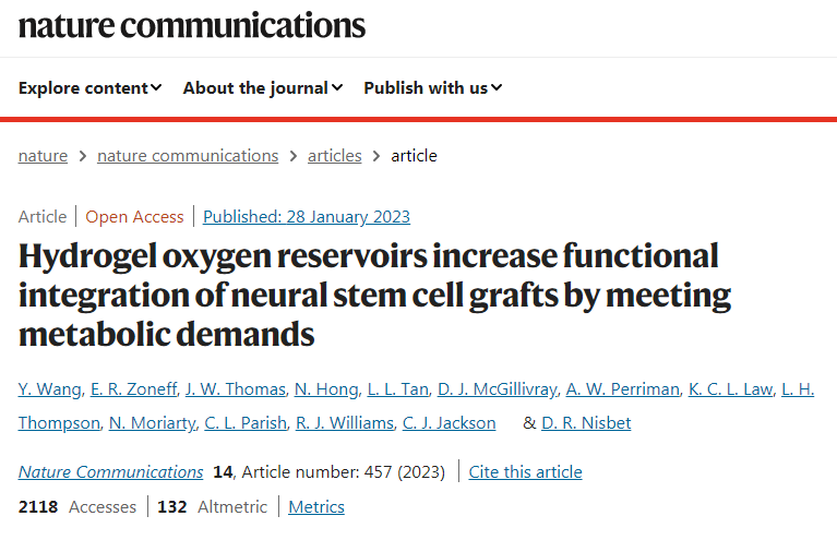 新研究人員開發(fā)了新的水凝膠可以安全地將干細(xì)胞輸送到小鼠的腦損傷部位 研究人員開發(fā)了新的水凝膠可以安全地將干細(xì)胞輸送到小鼠的腦損傷部位