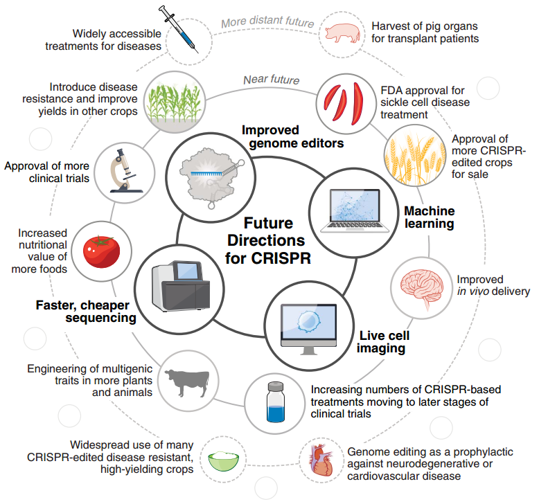 未來(lái)的 CRISPR 未來(lái)的 CRISPR