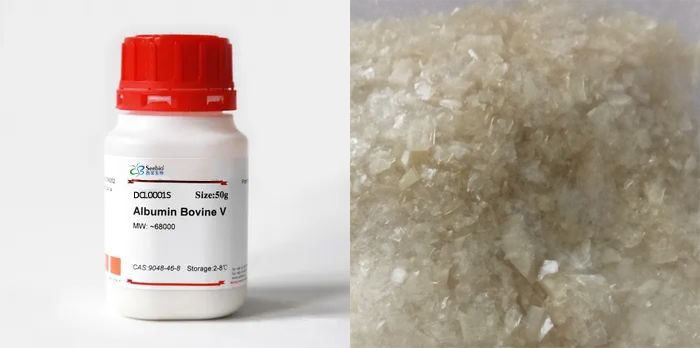 牛血清白蛋白，BSA，第五組分