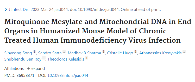MitoQ可以保護(hù)細(xì)胞免受氧化損傷的影響 MitoQ可以保護(hù)細(xì)胞免受氧化損傷的影響