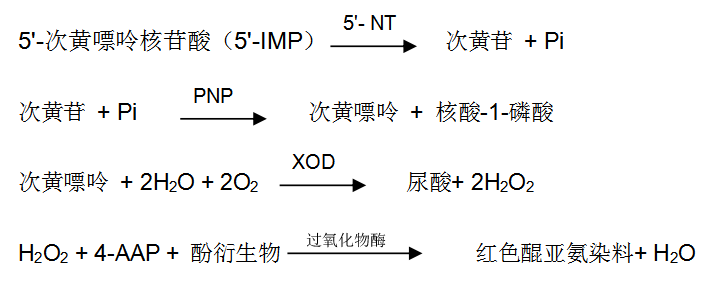 5'-核糖核苷酸磷酸水解酶檢測(cè)原理