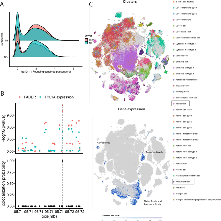 GWAS顯示rs2887399是克隆擴(kuò)增速率的調(diào)節(jié)劑 GWAS顯示rs2887399是克隆擴(kuò)增速率的調(diào)節(jié)劑