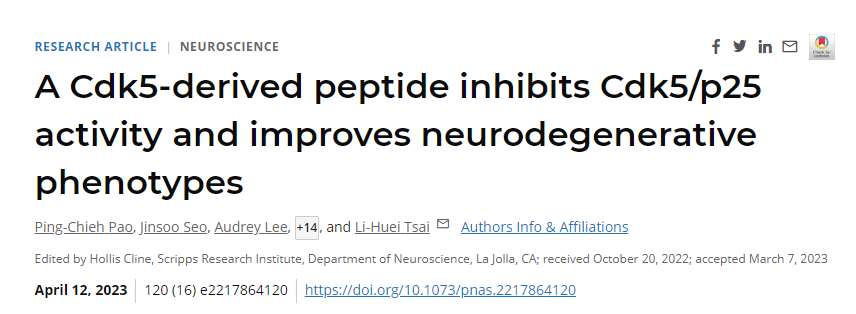 研究發(fā)現(xiàn)通過干擾阿爾茨海默病患者大腦中通常過度活躍的一種酶來逆轉(zhuǎn)神經(jīng)退行性變 研究發(fā)現(xiàn)通過干擾阿爾茨海默病患者大腦中通常過度活躍的一種酶來逆轉(zhuǎn)神經(jīng)退行性變