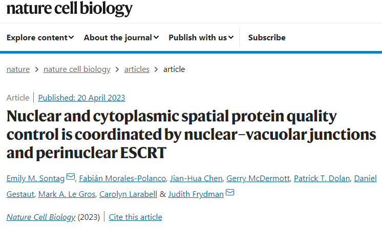 研究人員發(fā)現(xiàn)了一種細(xì)胞途徑可以清除細(xì)胞核中錯(cuò)誤折疊的蛋白質(zhì)