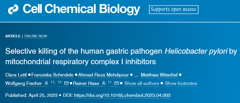 LMU的研究人員發(fā)現(xiàn)了幽門螺桿菌的一個(gè)弱點(diǎn)，可以用來(lái)開(kāi)發(fā)新藥
