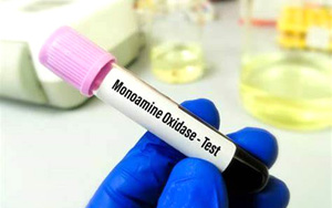 單胺氧化酶（MAO）檢測(cè)試劑盒用原輔料